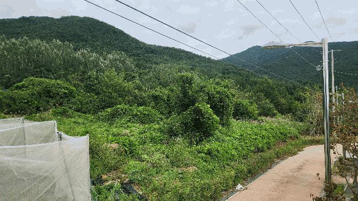 사진 05
