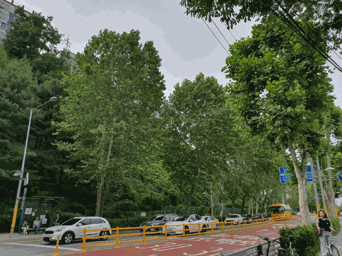 사진 06