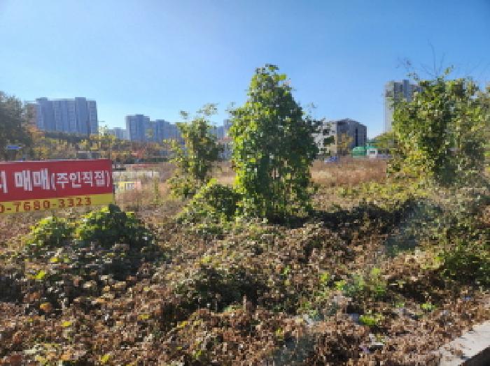사진 01
