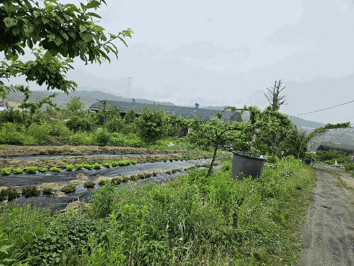 사진 08