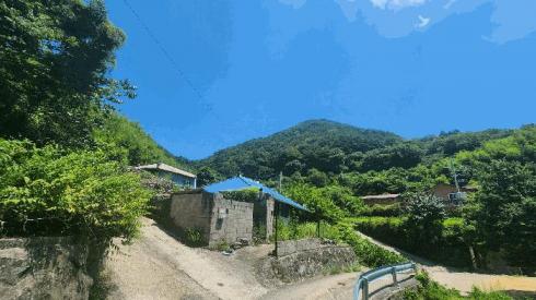 사진 01