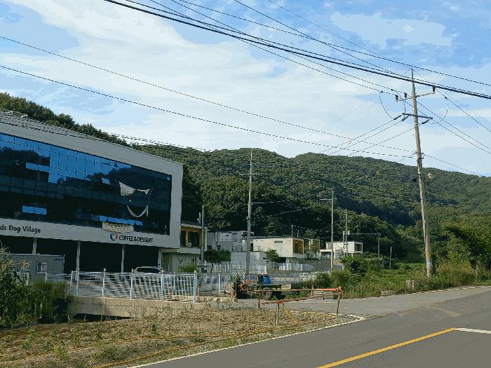 사진 07