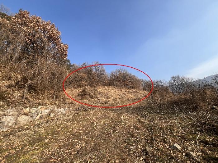 사진 03