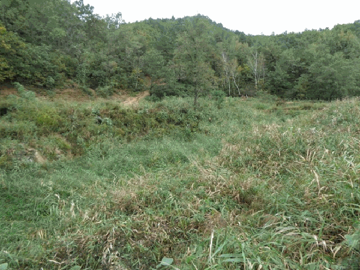 사진 08
