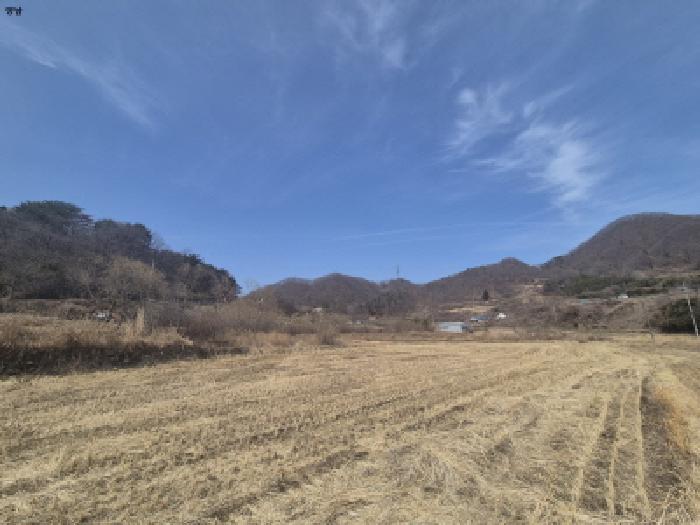 사진 05