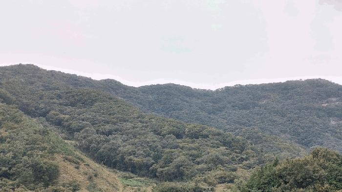 사진 04