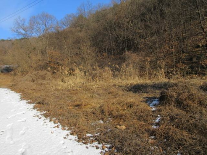 사진 03