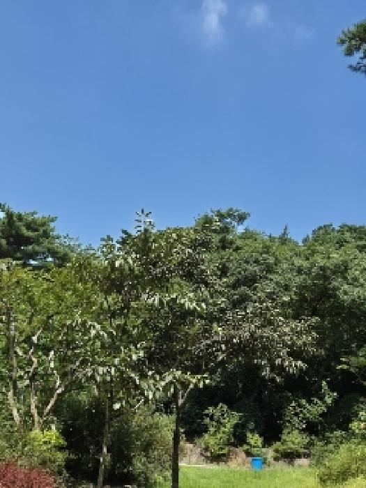 사진 08