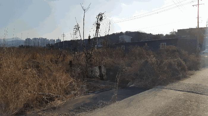 사진 05