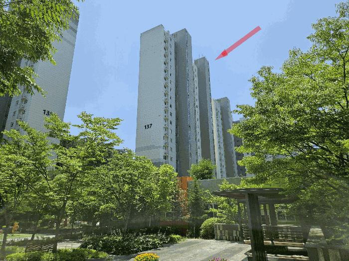사진 06
