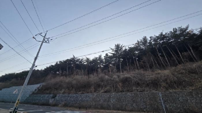 사진 07
