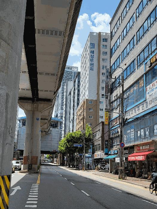사진 06