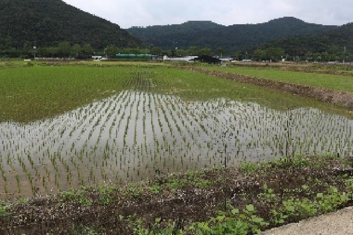 사진 07