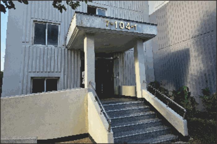 사진 05