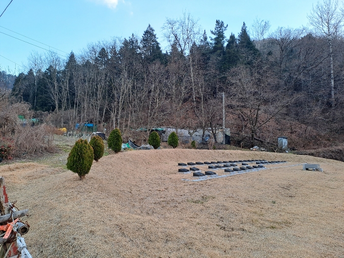 사진 02