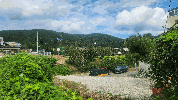 사진 03