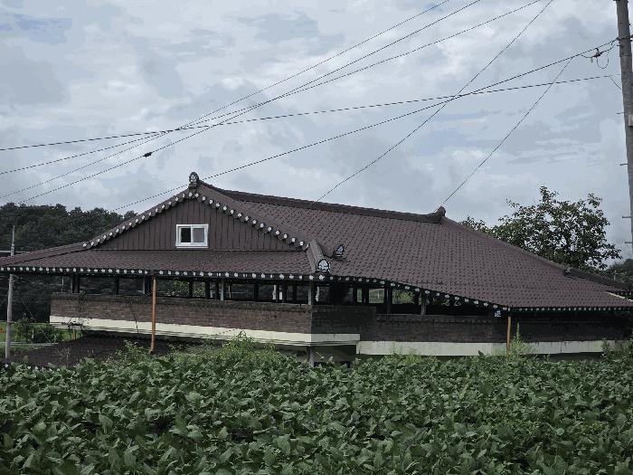 사진 07