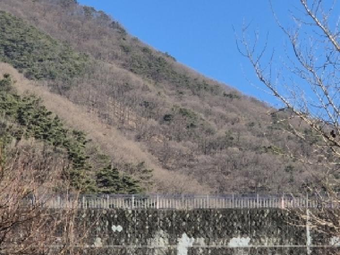 사진 07