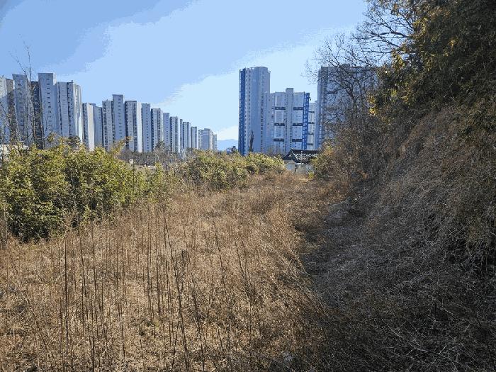 사진 06