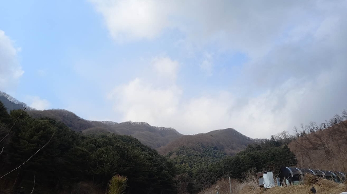 사진 07