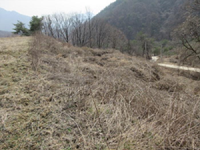 사진 08