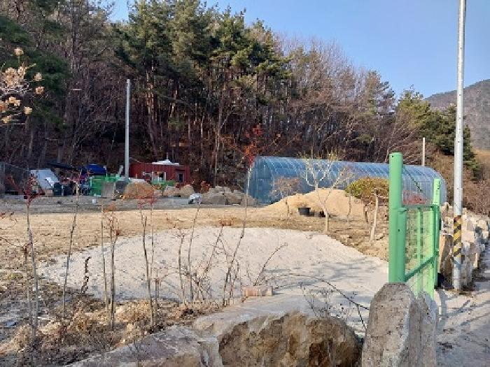 사진 04