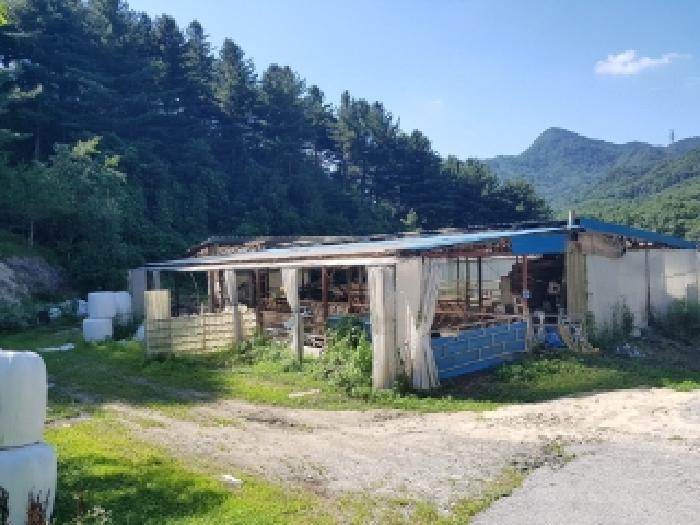 사진 06