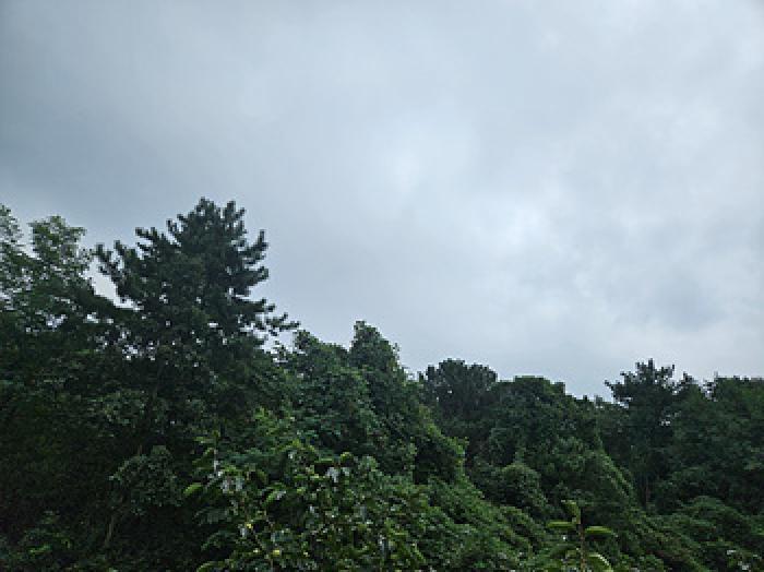 사진 03