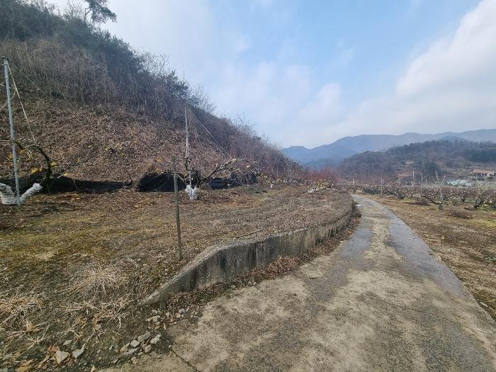 사진 08