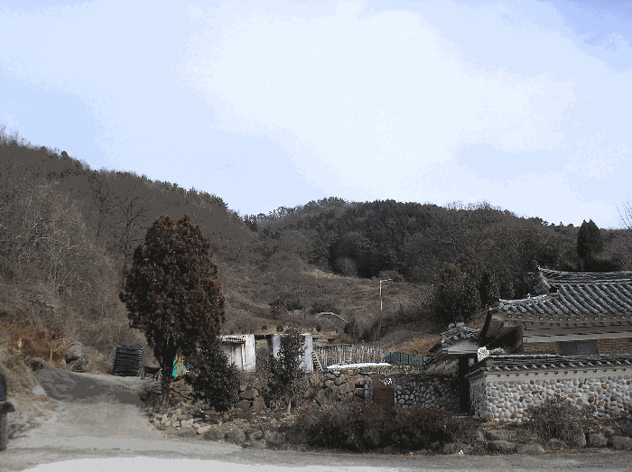 사진 08