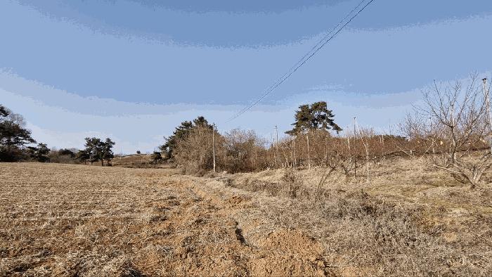 사진 06
