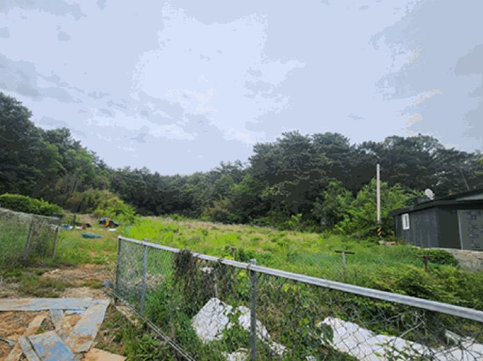 사진 02