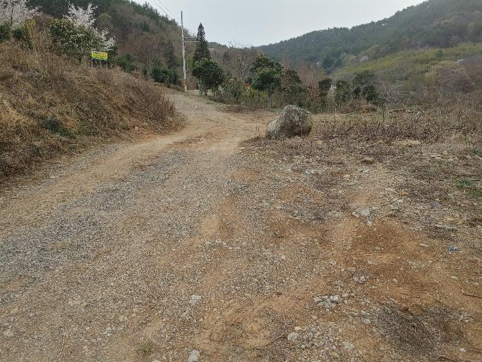 사진 07