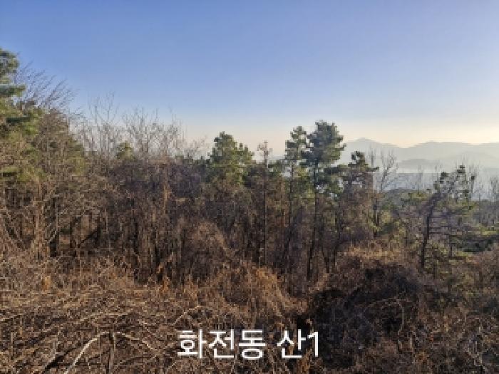 사진 03