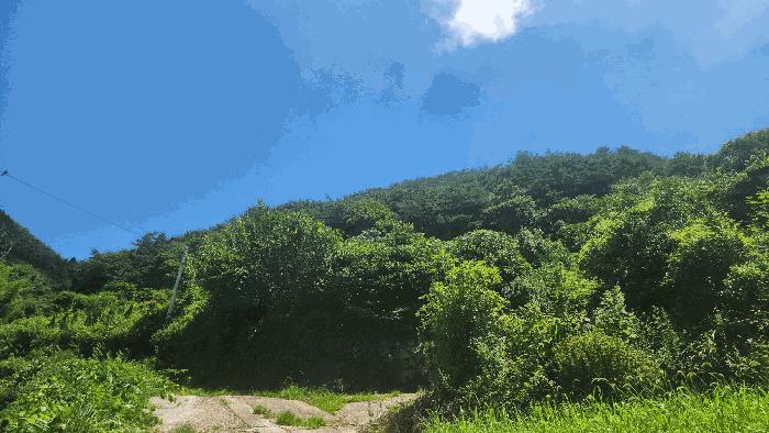 사진 05