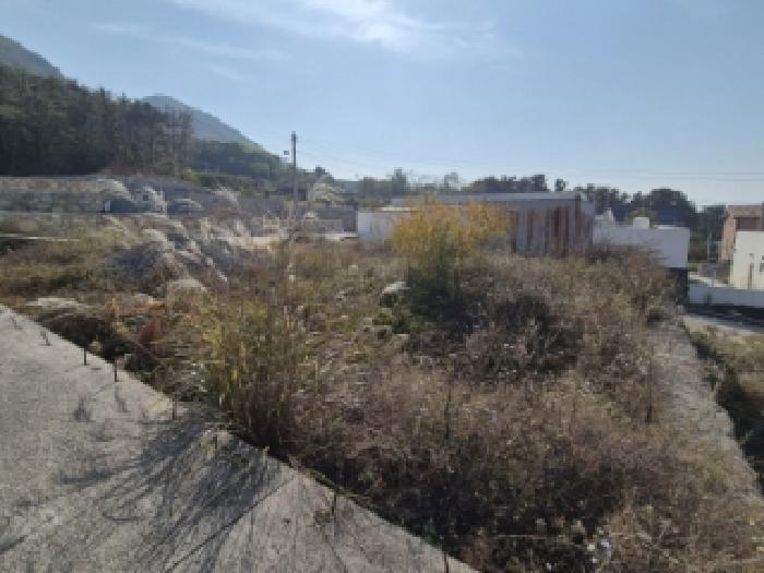 사진 03