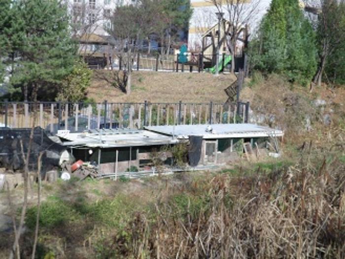 사진 06