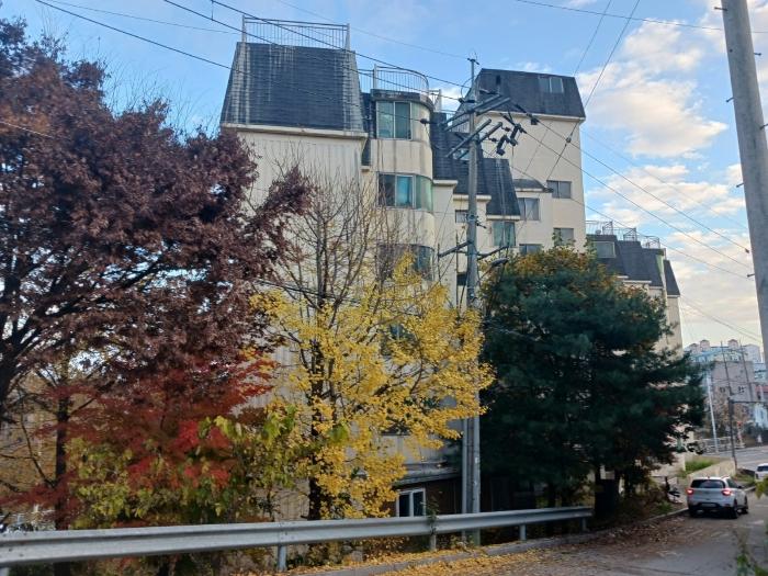 사진 03