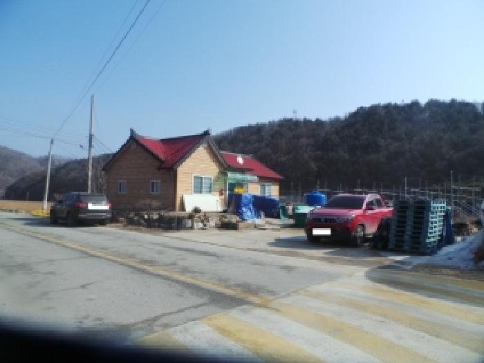 사진 05