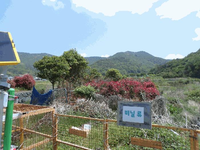 사진 02