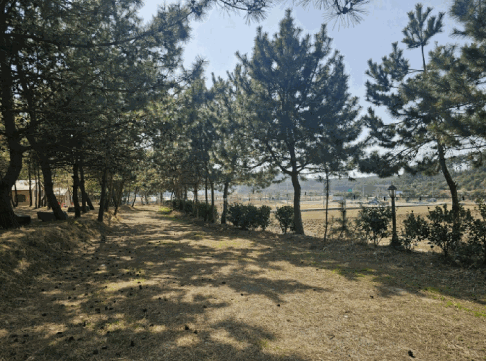사진 07
