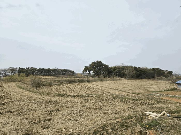 사진 06