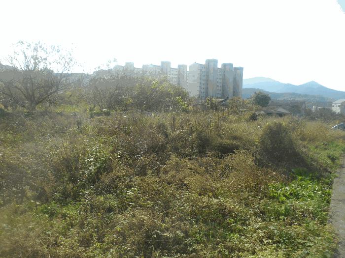 사진 05