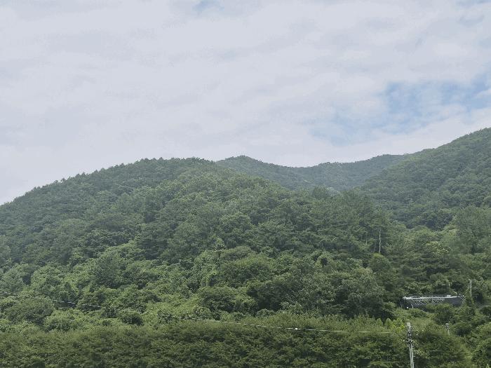 사진 04