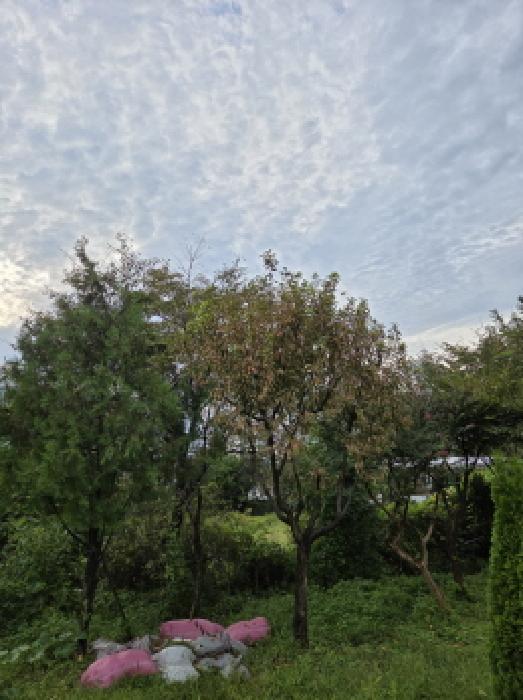 사진 07