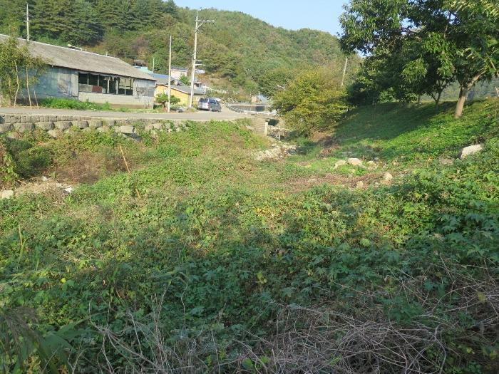 사진 05