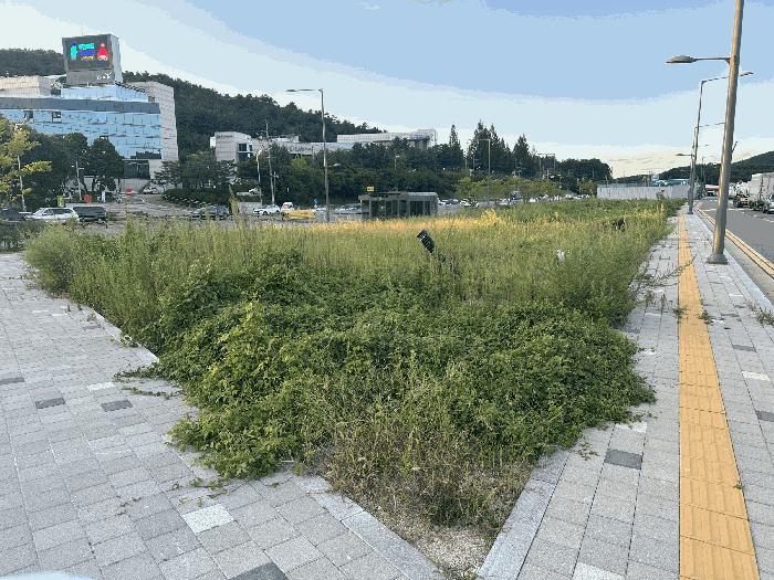 사진 07
