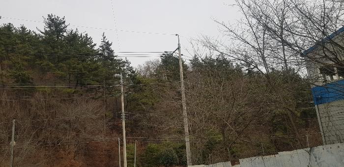 사진 05
