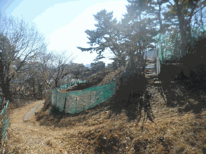 사진 05