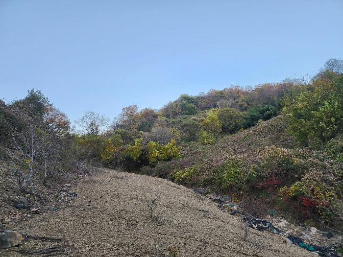 사진 07